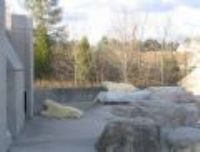 2003 Winter: 多倫多動物園一日遊