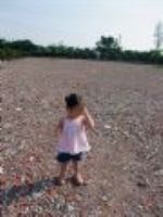 20090606 田尾百花