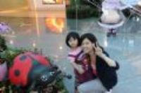 20100826 從桃園飛往東京成田