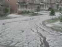 20080616 送你樟腦丸啦!