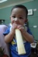 20110918 巧虎第一次舔甘蔗