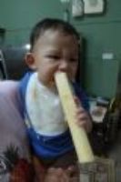 20110918 巧虎第一次舔甘蔗